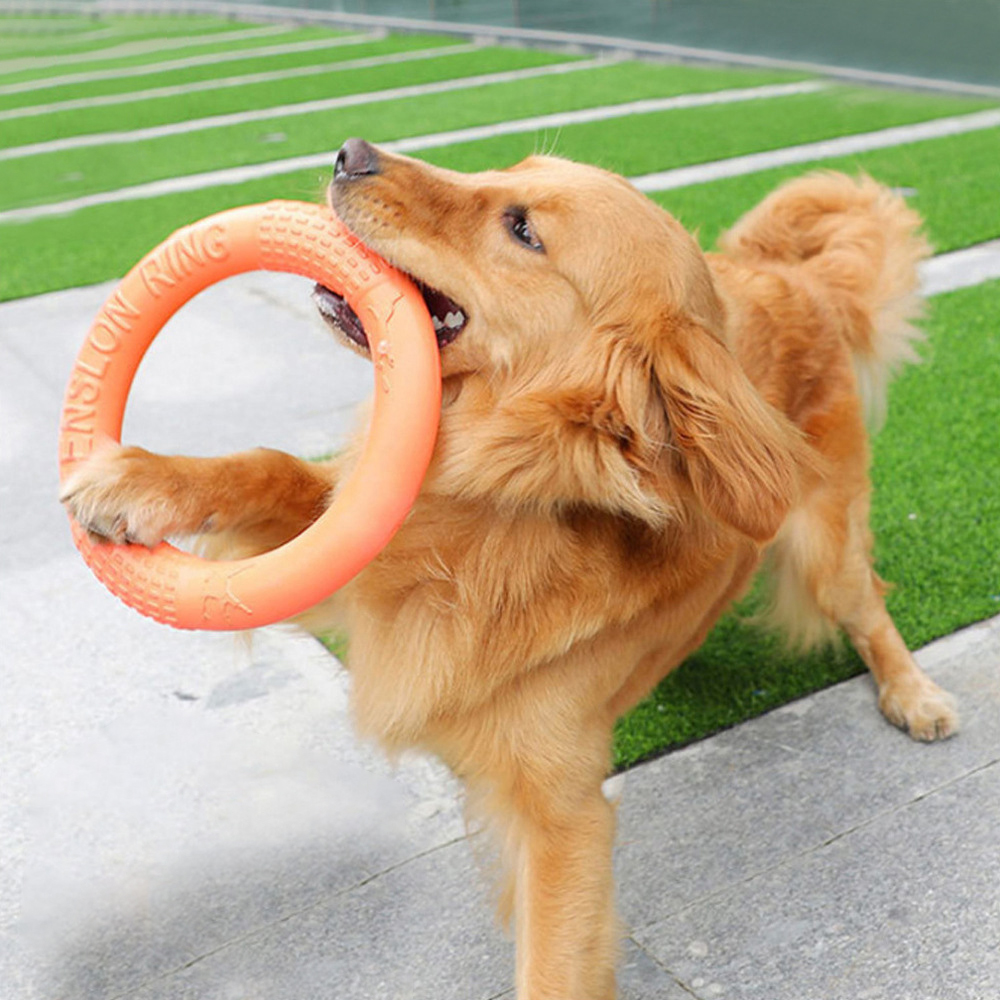Snuffle Mat For Dogs - 1 adet turuncu köpek oyuncaklar Pet
