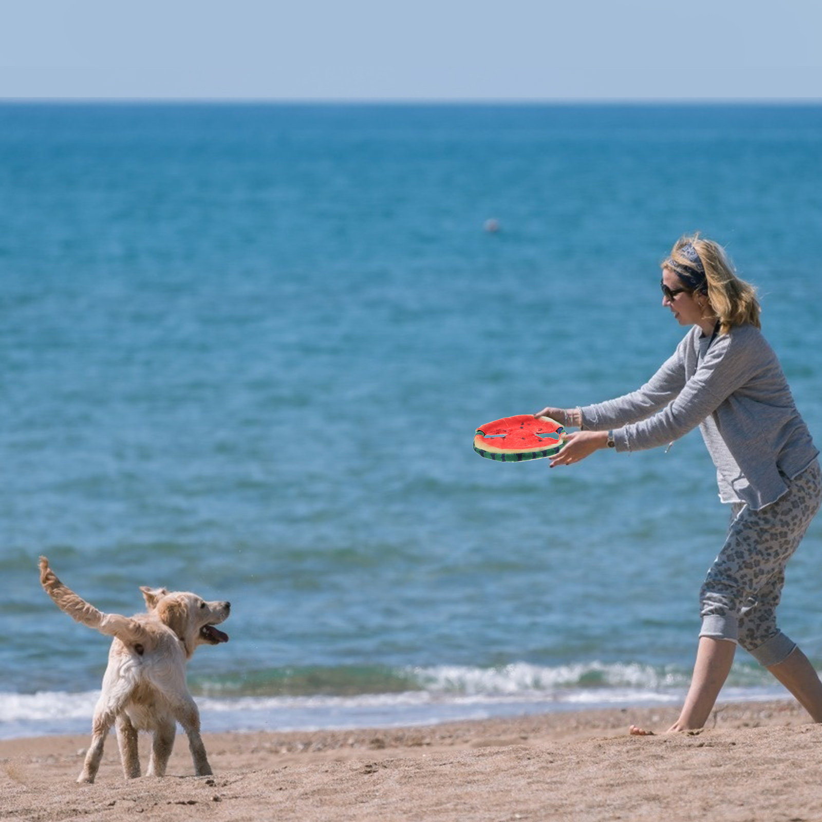 Flying Disc Dog Training Toy - Köpekler İçin Uçan Disk Şeklinde, Yüzen,