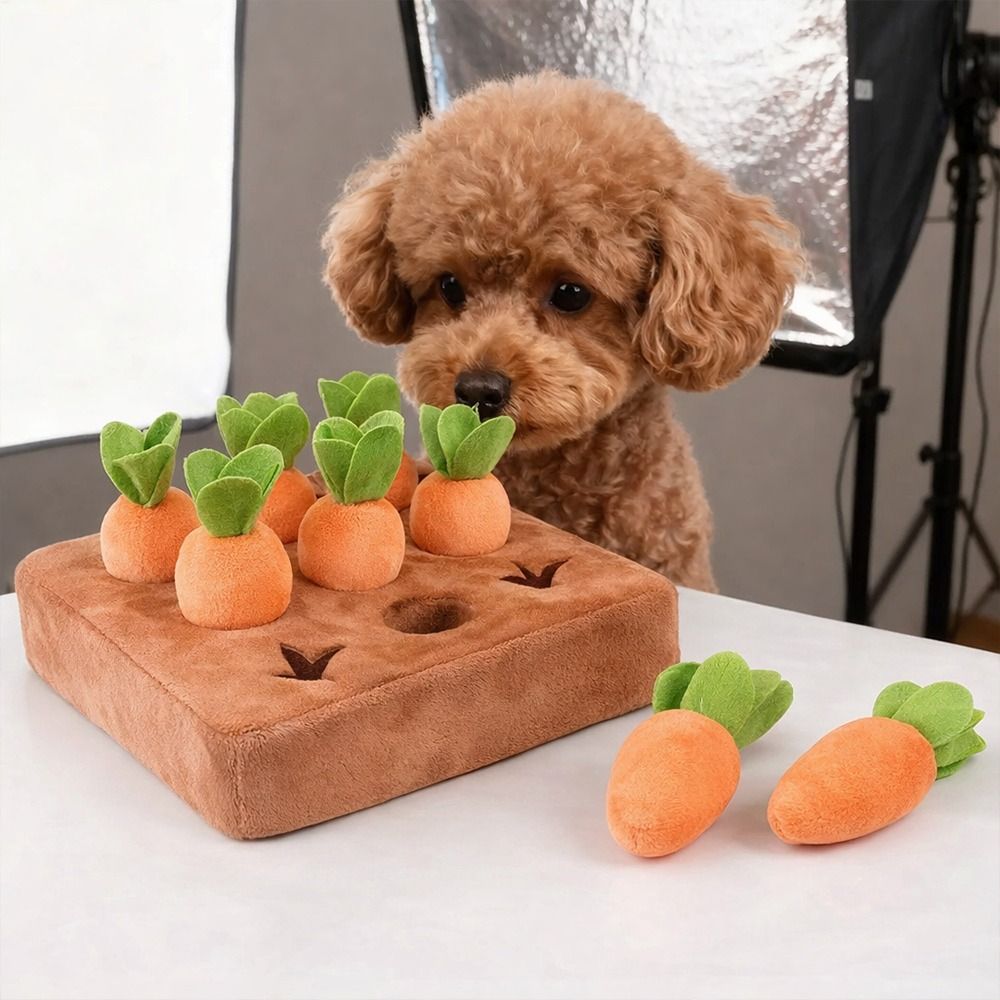 Snuffle Mat For Dogs - Stres Giderici Havuçlu Burun Alma Matı