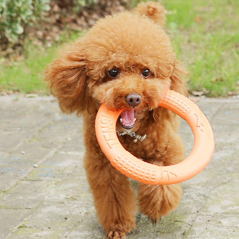 1 adet turuncu köpek oyuncakla - Snuffle Mat For Dogs incelemesi ve fiyatı
