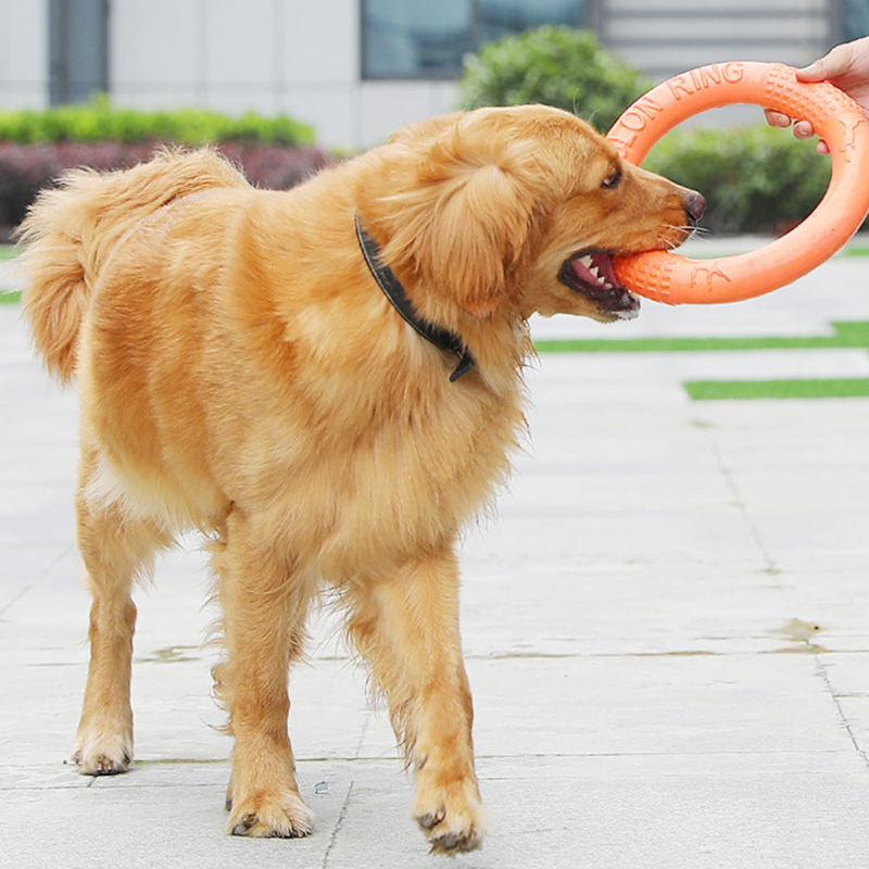 1 adet turuncu köpek oyuncakla - Snuffle Mat For Dogs incelemesi ve fiyatı