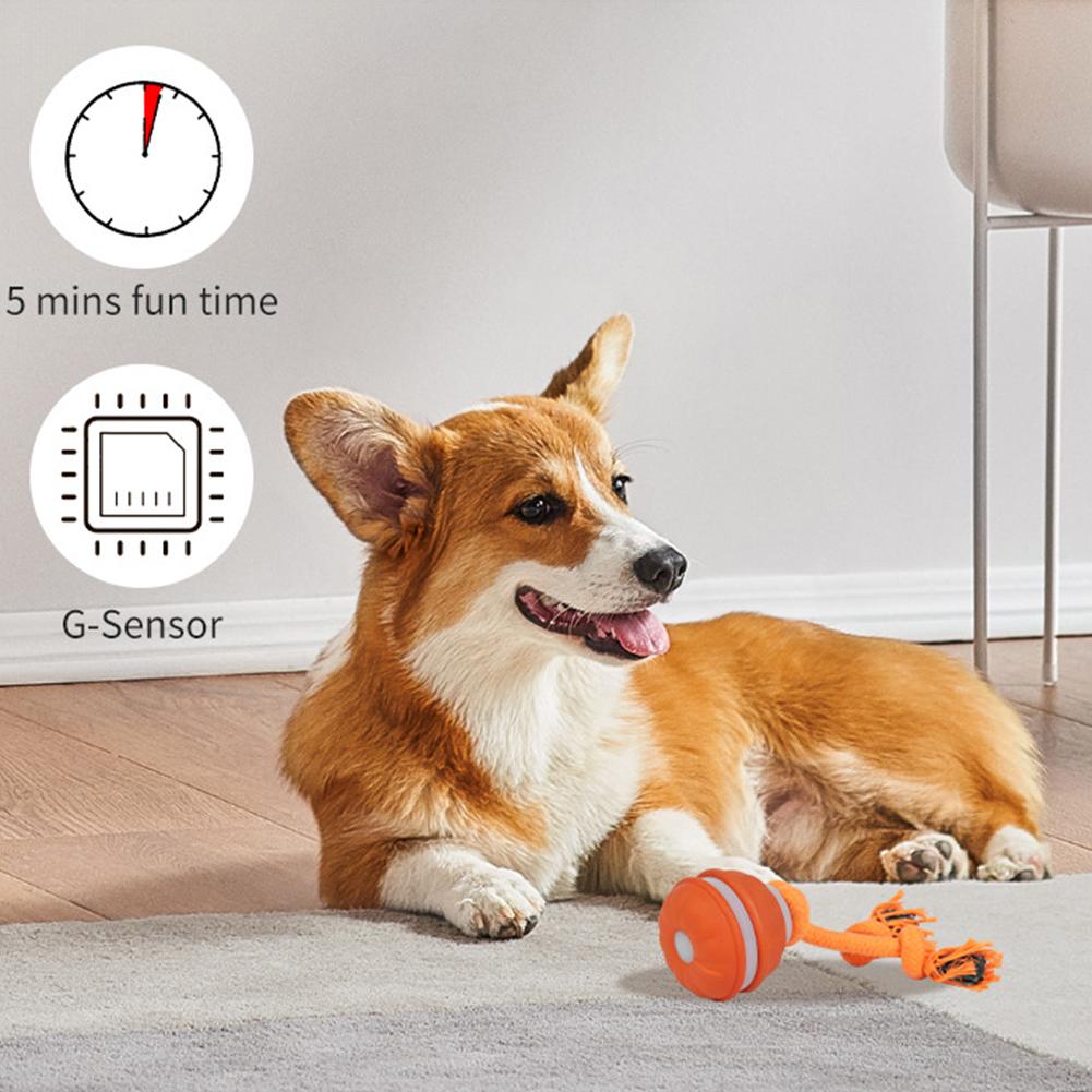 Köpekler için Evcil Hayvan Top - Automatic Moving Dog Ball incelemesi ve fiyatı