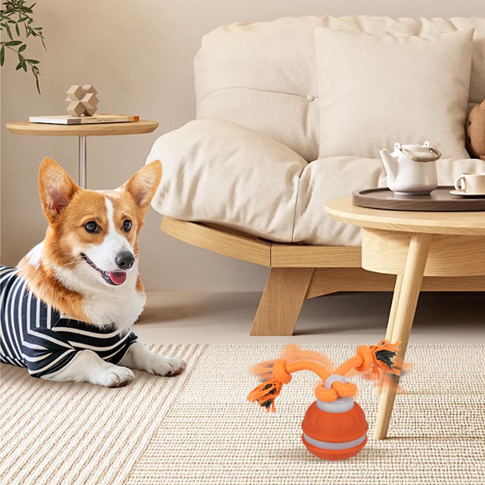 Köpekler için Evcil Hayvan Top - Automatic Moving Dog Ball incelemesi ve fiyatı