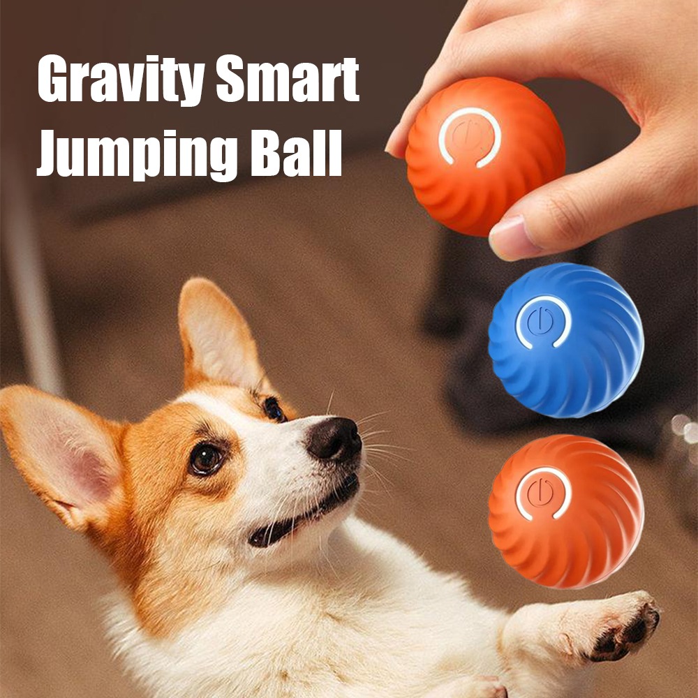 Yeni 1 adet Otomatik Hareketli - Automatic Moving Dog Ball incelemesi ve fiyatı