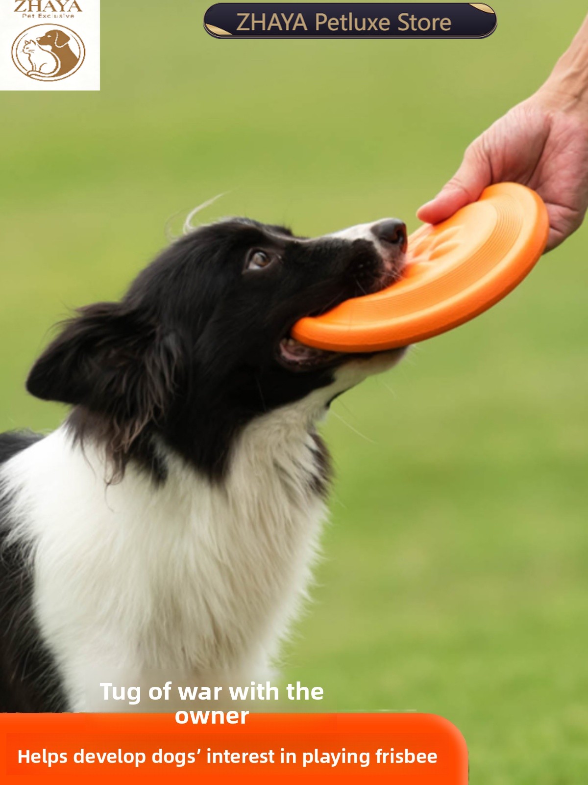 Köpek Uçan Diski Yumuşak Dayan - Flying Disc Dog Training Toy incelemesi ve fiyatı
