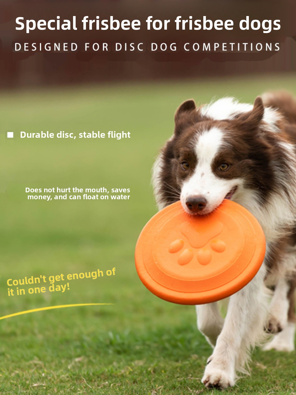 Köpek Uçan Diski Yumuşak Dayan - Flying Disc Dog Training Toy incelemesi ve fiyatı