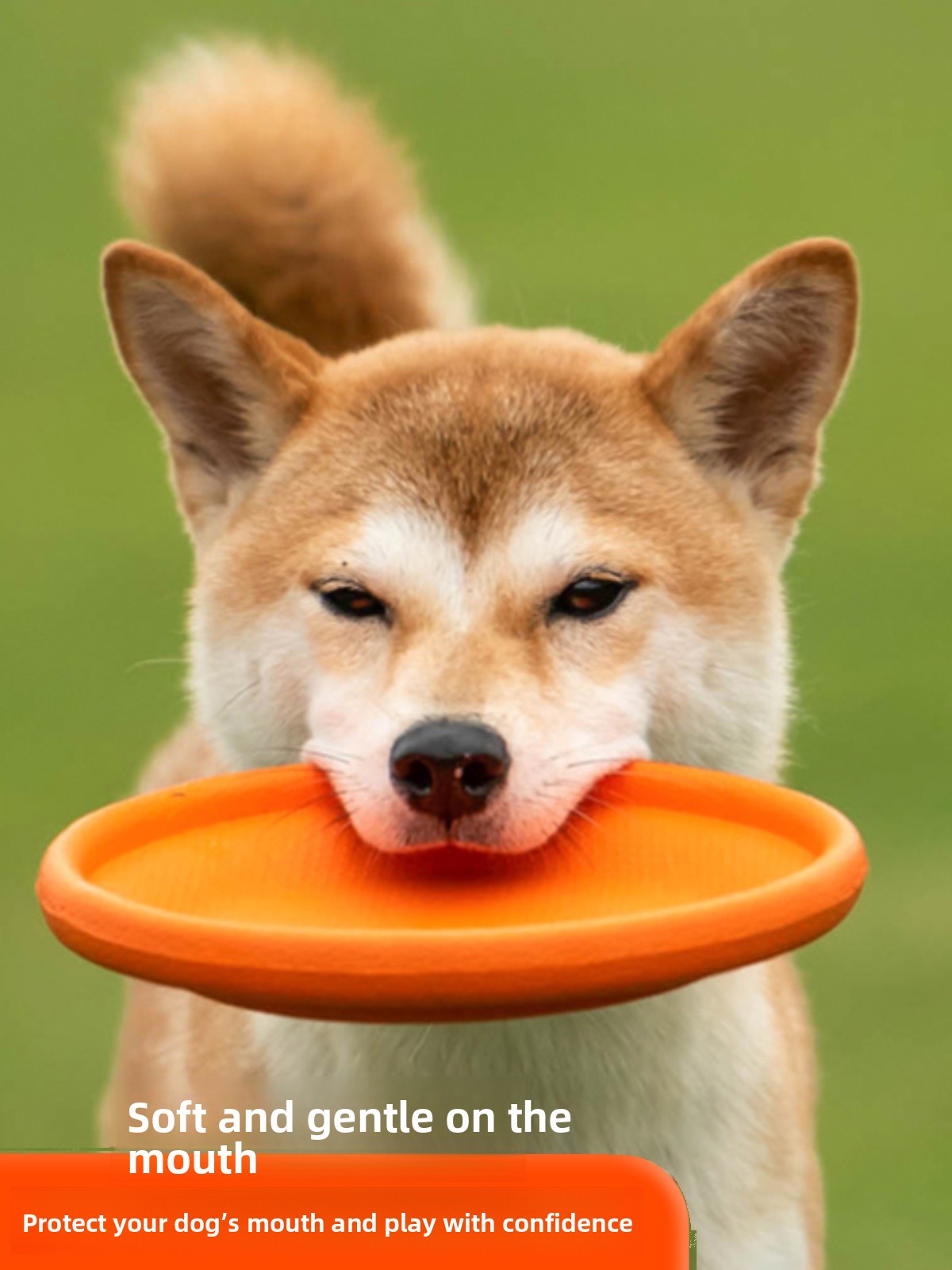 Köpek Uçan Diski Yumuşak Dayan - Flying Disc Dog Training Toy incelemesi ve fiyatı