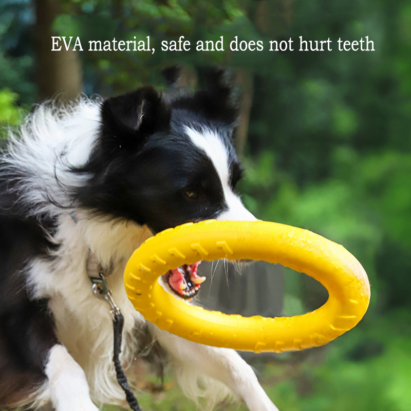 EVA Dayanıklı Köpek Oyuncaklar - Snuffle Mat For Dogs incelemesi ve fiyatı
