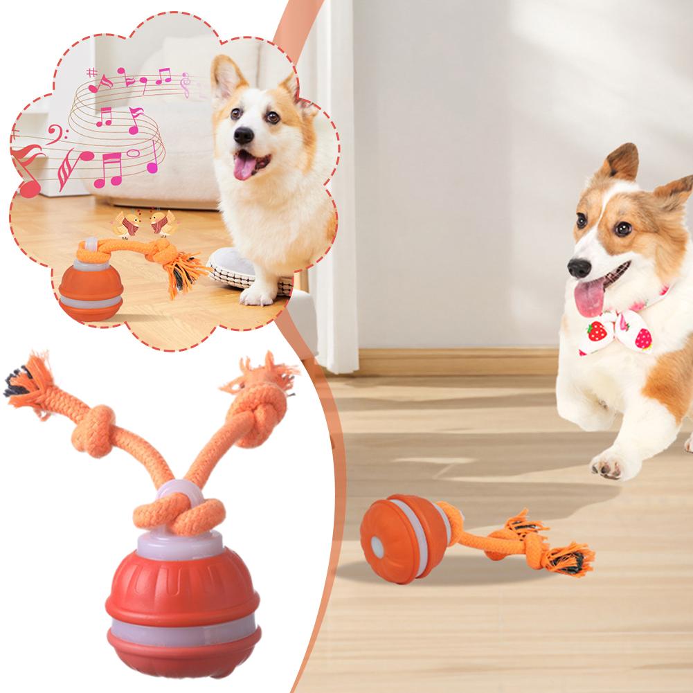 Akıllı Şarj Edilebilir Köpek T - Automatic Moving Dog Ball incelemesi ve fiyatı