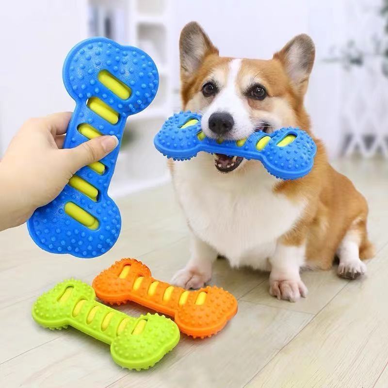 Kauçuk Kemik Köpek Molar Çubuğ - Teeth Cleaning Dog Chew Bone incelemesi ve fiyatı