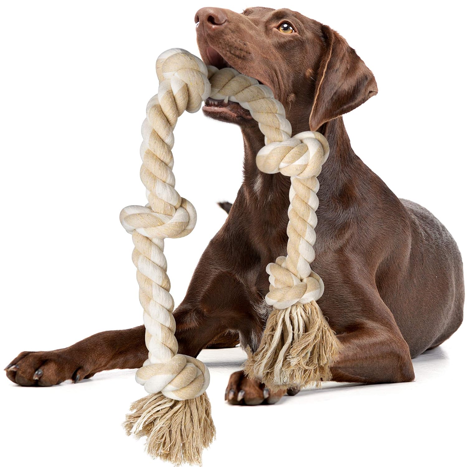 Ağresif Çiğneyenler İçin Dayan - Dog Rope Toy Aggressive Chewers incelemesi ve fiyatı