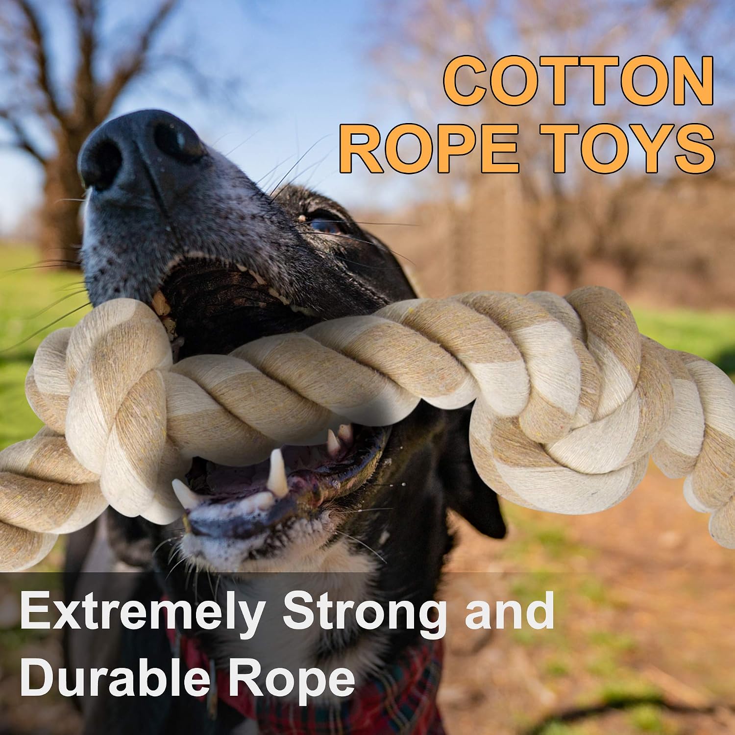 Ağresif Çiğneyenler İçin Dayan - Dog Rope Toy Aggressive Chewers incelemesi ve fiyatı