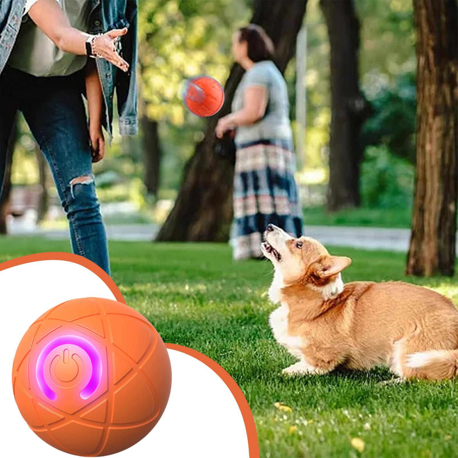 Agresif Çiğneme Makineleri içi - Automatic Moving Dog Ball incelemesi ve fiyatı