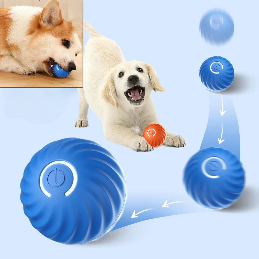 Köpek Oyuncak Topu Otomatik Ha - Automatic Moving Dog Ball incelemesi ve fiyatı