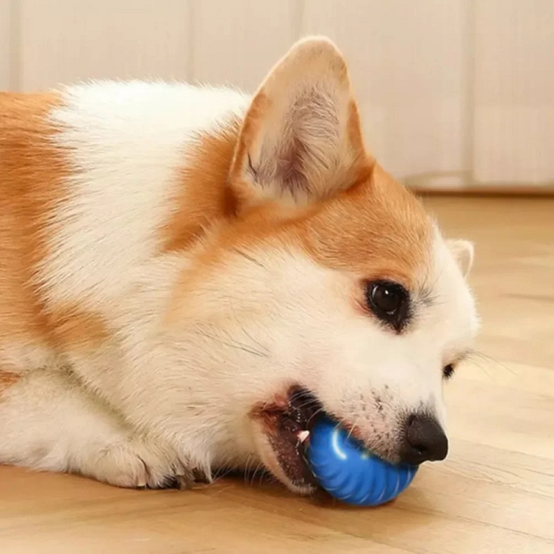 Köpek Oyuncak Topu Otomatik Ha - Automatic Moving Dog Ball incelemesi ve fiyatı