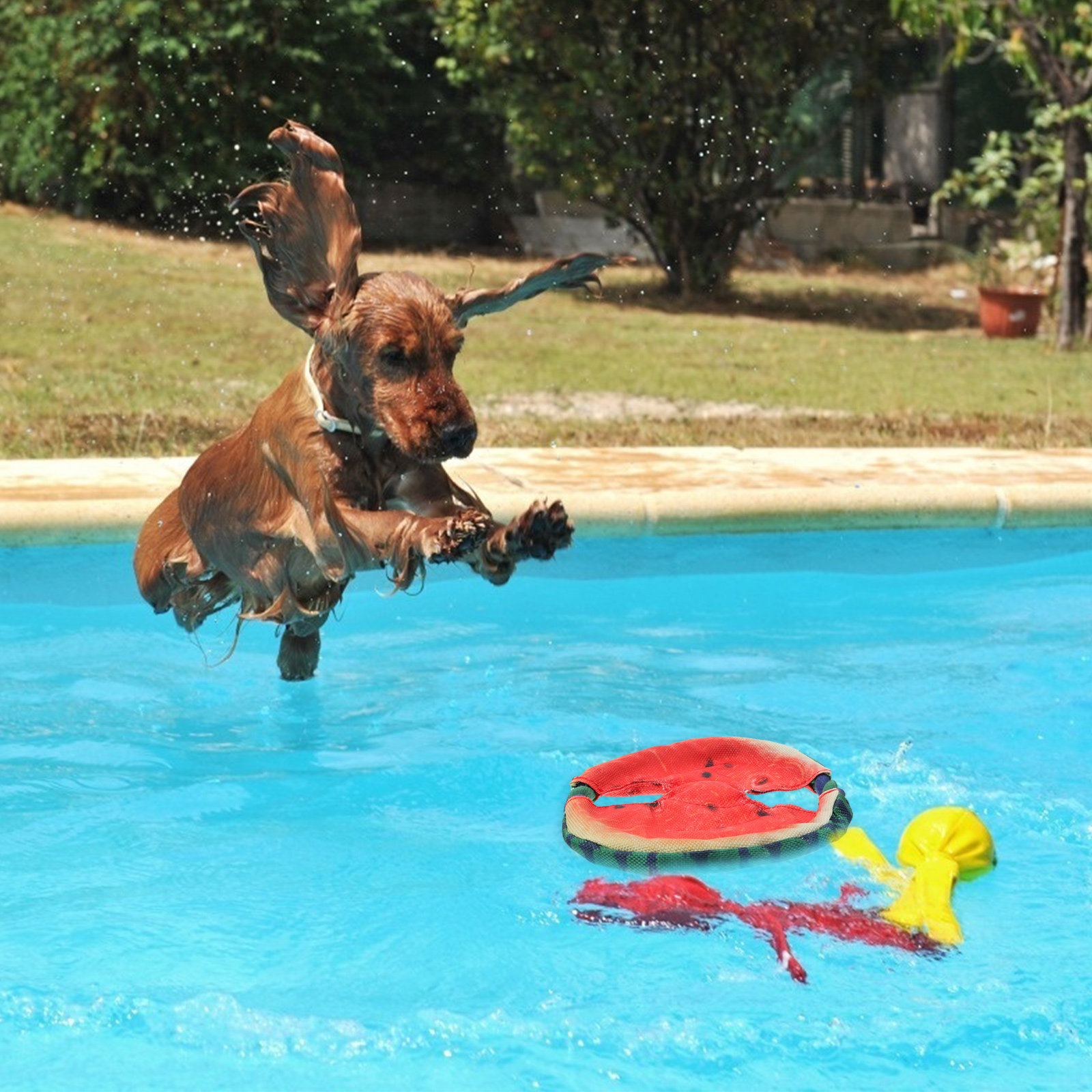Köpekler İçin Uçan Disk Şeklin - Flying Disc Dog Training Toy incelemesi ve fiyatı