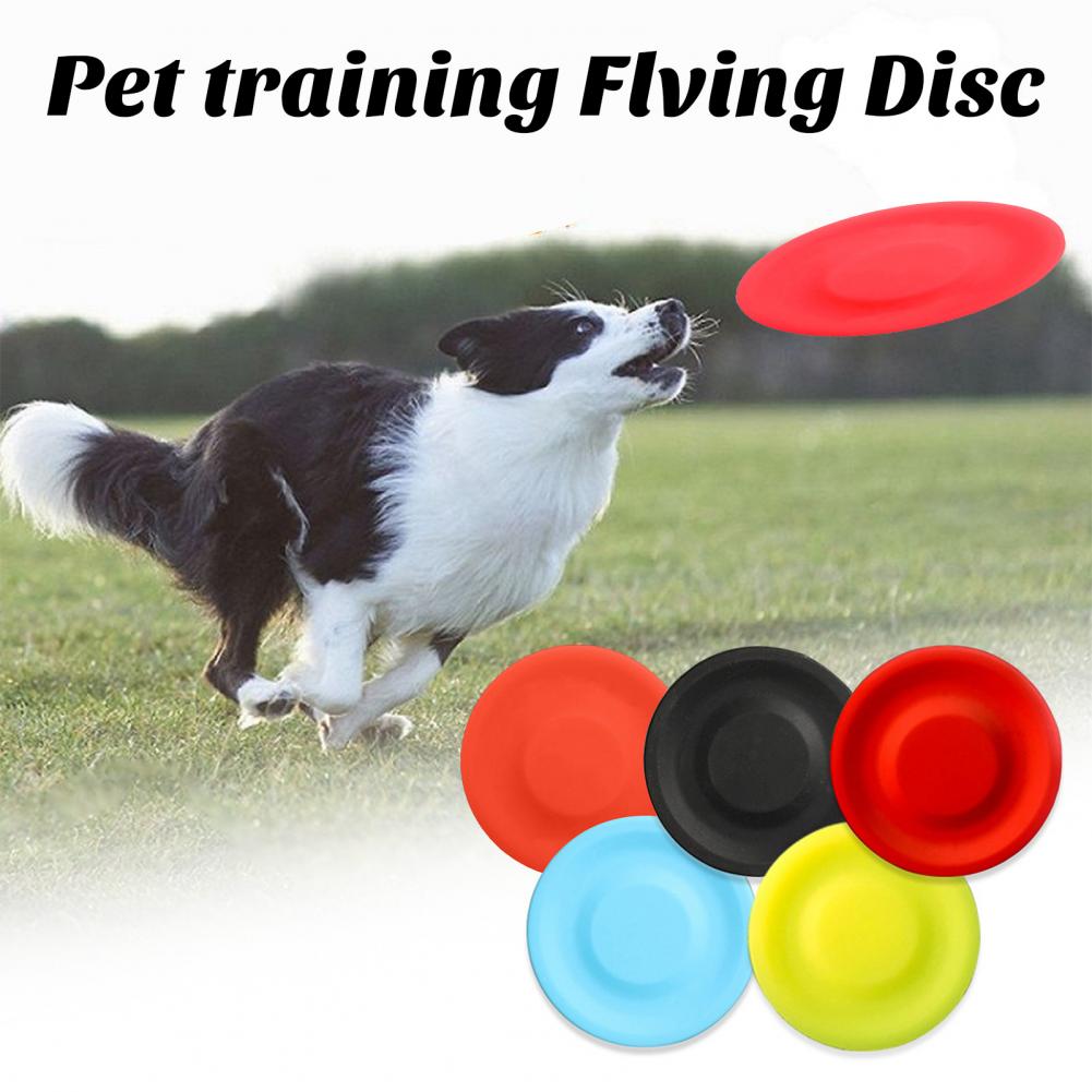 Pet köpek uçan Disk oyuncak, s - Flying Disc Dog Training Toy incelemesi ve fiyatı