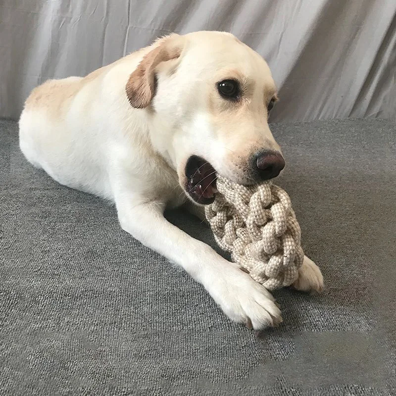 Kedi Köpek Düğüm Oyuncak Temiz - Indestructible Dog Chew Toy incelemesi ve fiyatı