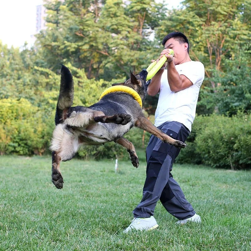Köpek oyuncaklar Pet uçan disk - Indestructible Dog Chew Toy incelemesi ve fiyatı