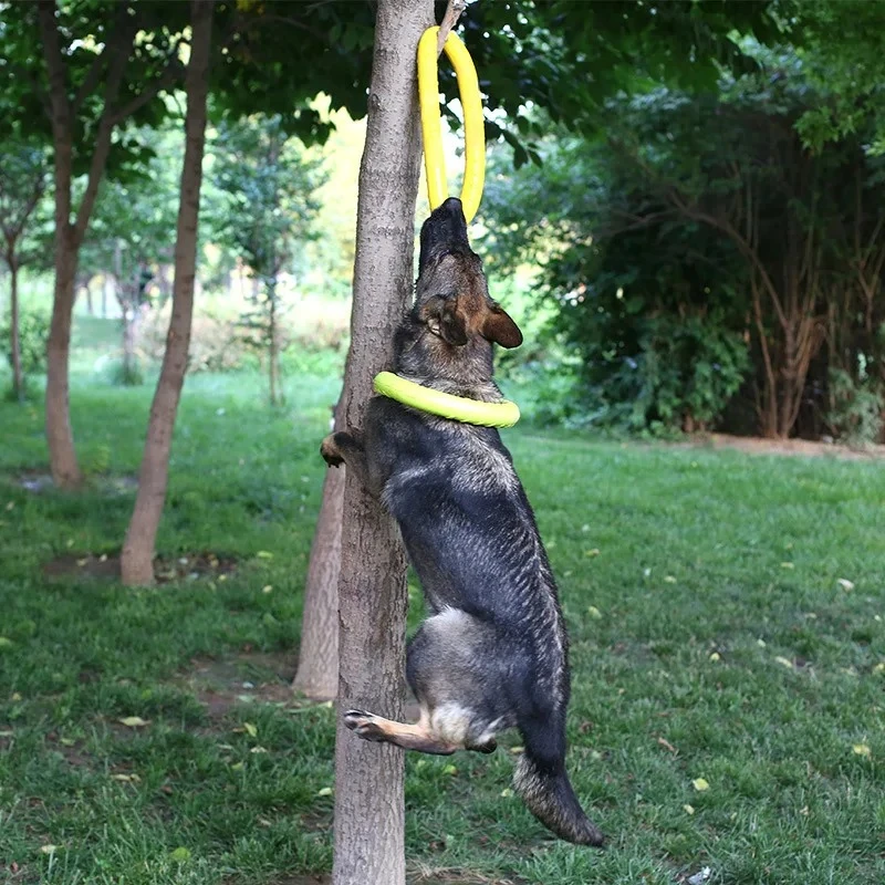 Köpek oyuncaklar Pet uçan disk - Indestructible Dog Chew Toy incelemesi ve fiyatı