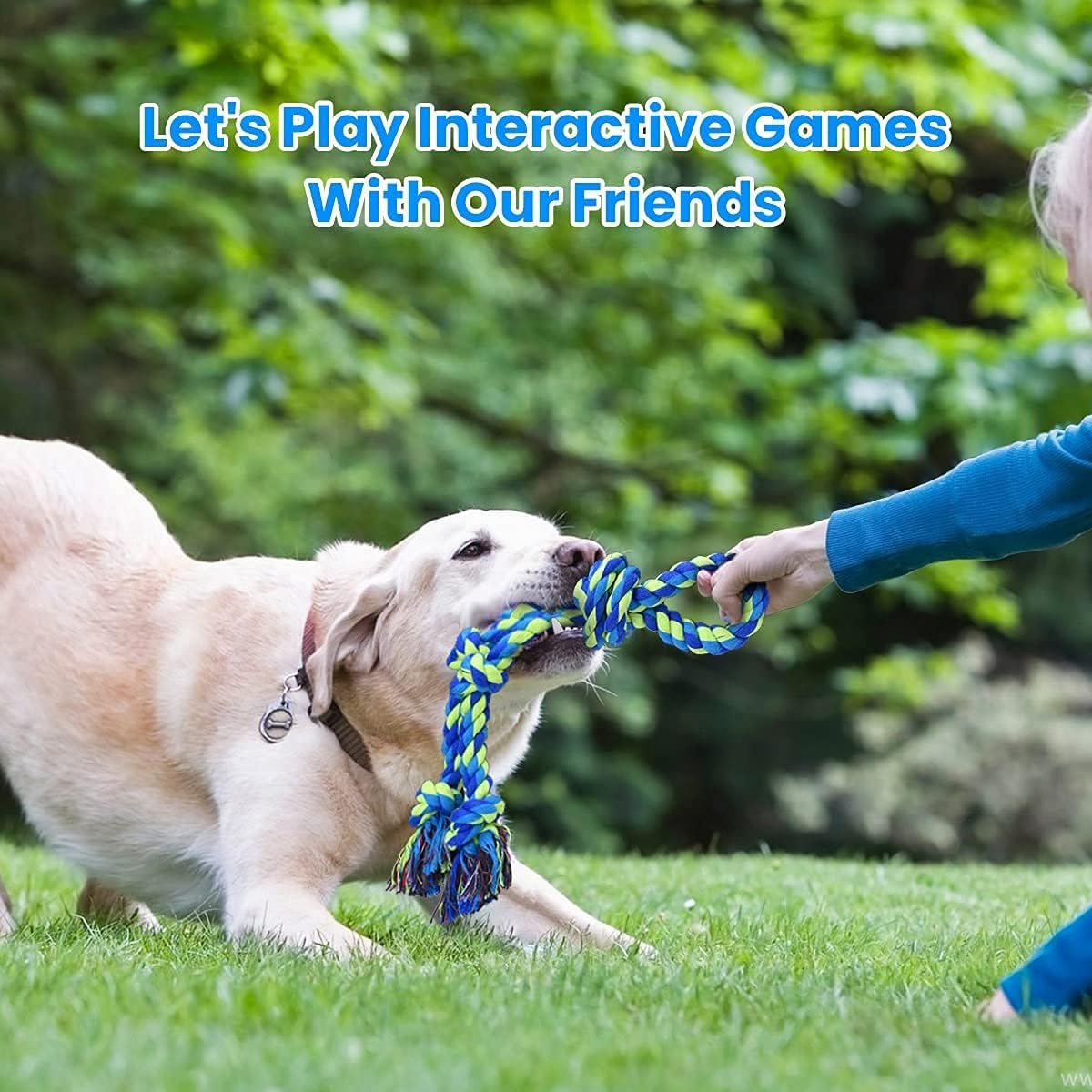 Büyük Irk Agresif Çiğneyenler  - Dog Rope Toy Aggressive Chewers incelemesi ve fiyatı