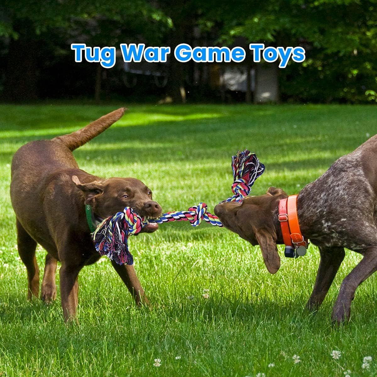 Büyük Irk Agresif Çiğneyenler  - Dog Rope Toy Aggressive Chewers incelemesi ve fiyatı