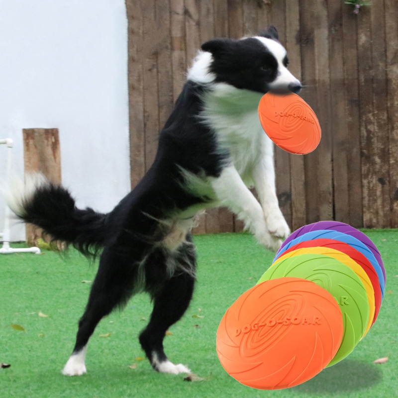 Köpekler ve Kediler için İnter - Flying Disc Dog Training Toy incelemesi ve fiyatı