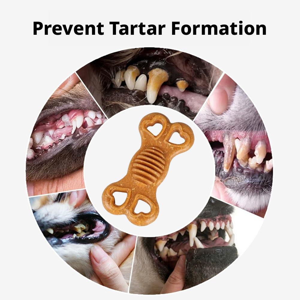Dayanıklı Köpek Oyuncak Kemik, - Teeth Cleaning Dog Chew Bone incelemesi ve fiyatı