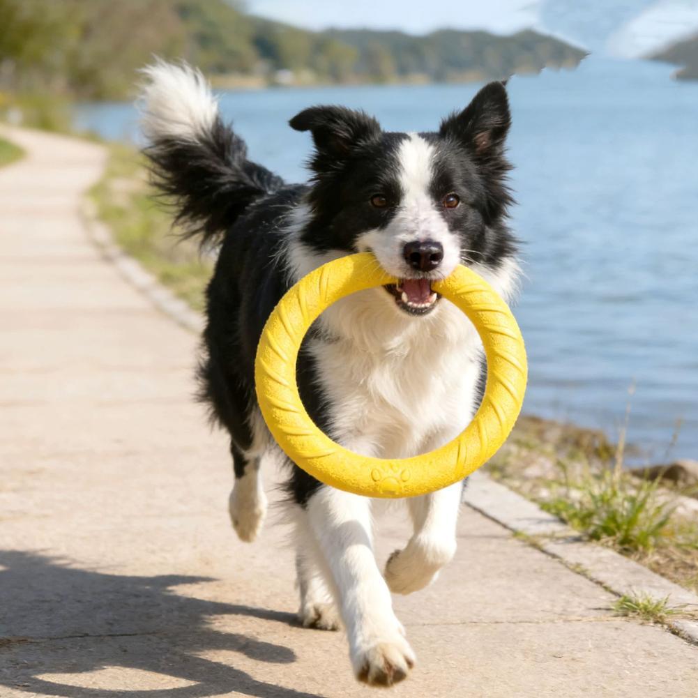 Köpek Oyuncakları: Kırılmaz, Ç - Indestructible Dog Chew Toy incelemesi ve fiyatı